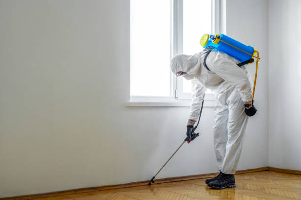Best Mosquito Control Services  in Crawfordville, FL