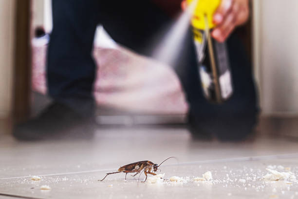 Best Pest Control Near Me  in Crawfordville, FL